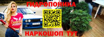МДПВ Шебекино